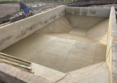 New Outdoor Pool and Garden in Pangbourne